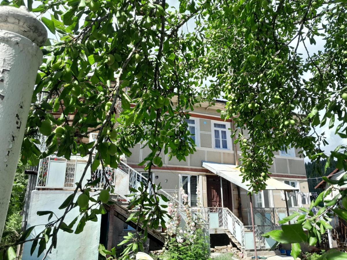 Armazi Hotel Khulo Екстериор снимка