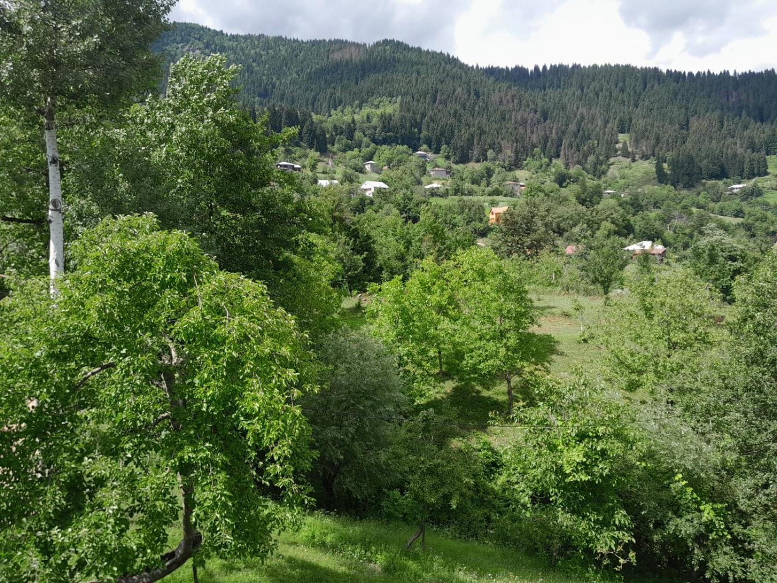 Armazi Hotel Khulo Екстериор снимка