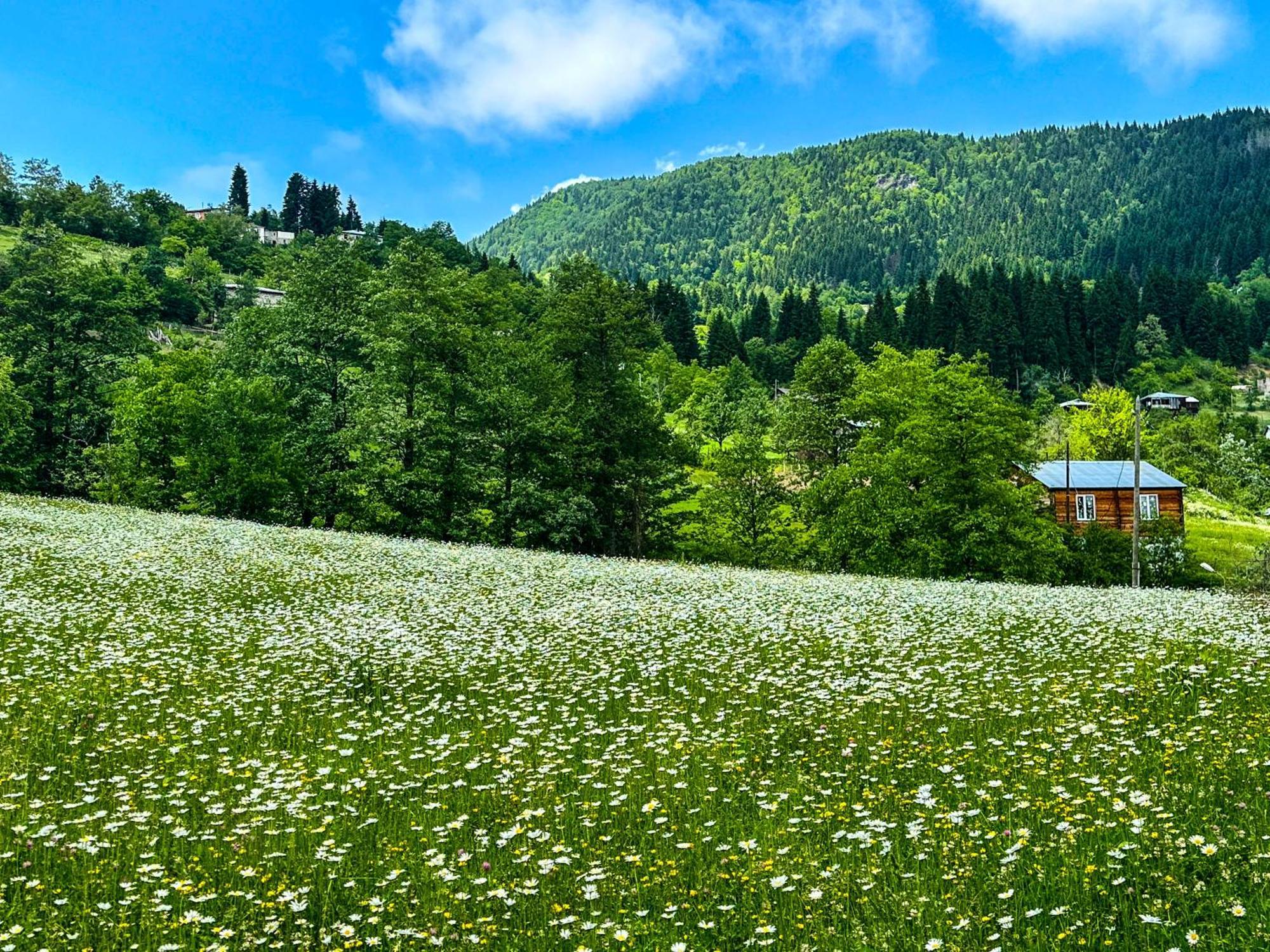 Armazi Hotel Khulo Екстериор снимка