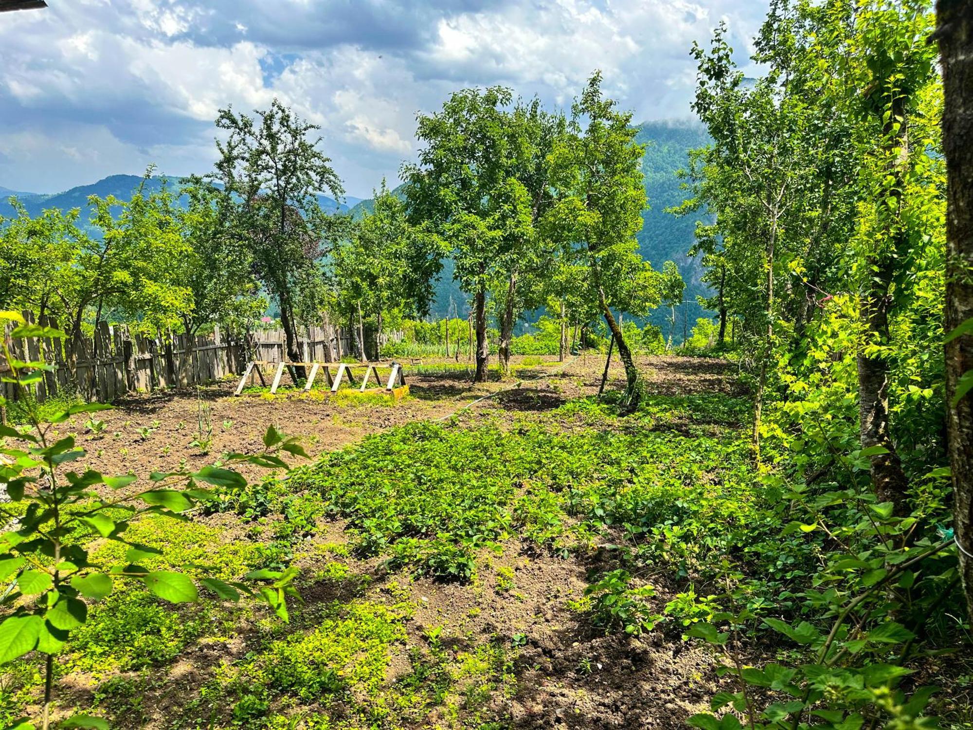 Armazi Hotel Khulo Екстериор снимка