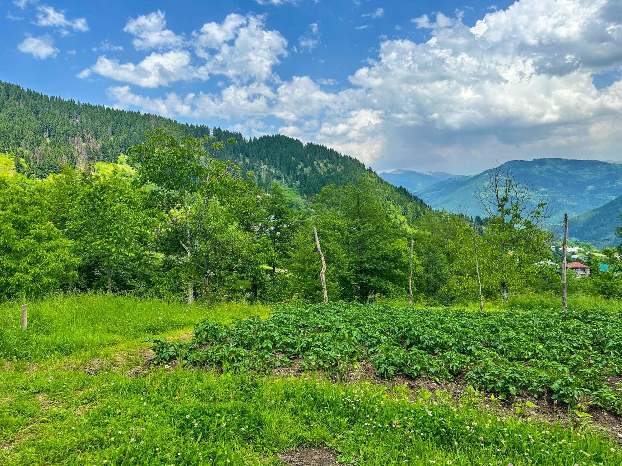 Armazi Hotel Khulo Екстериор снимка