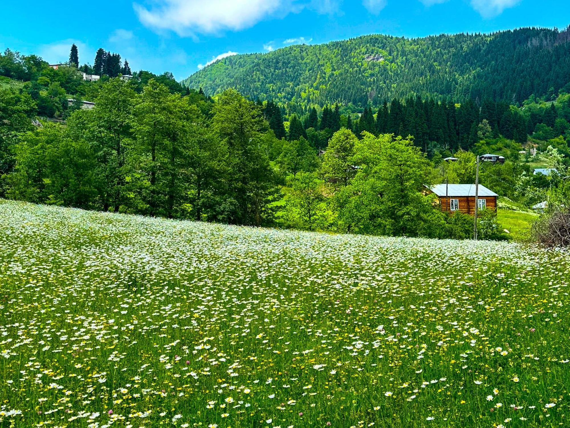 Armazi Hotel Khulo Екстериор снимка