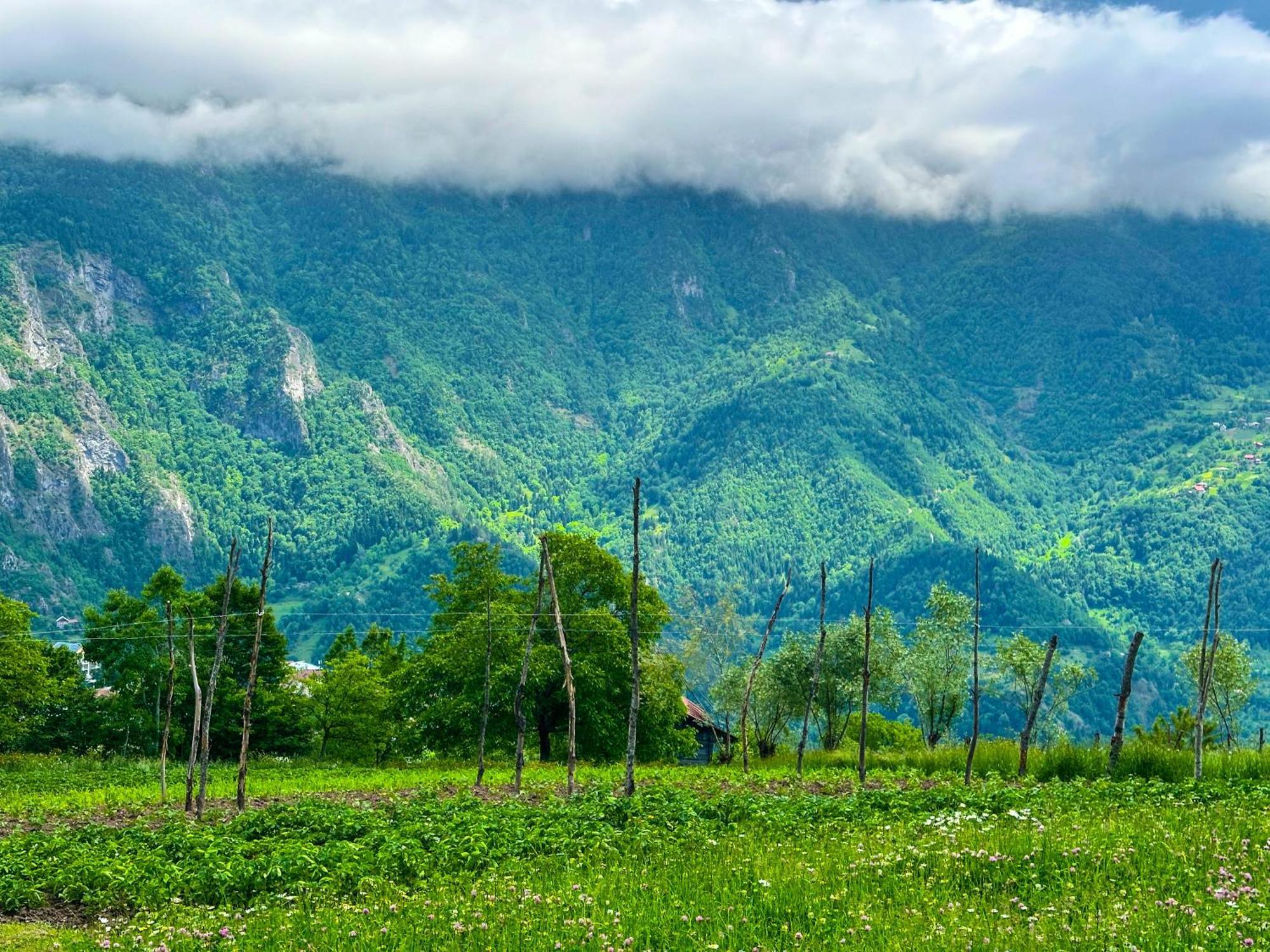Armazi Hotel Khulo Екстериор снимка