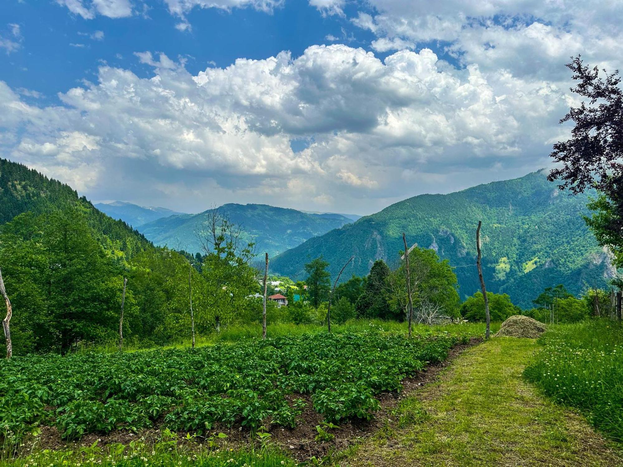 Armazi Hotel Khulo Екстериор снимка